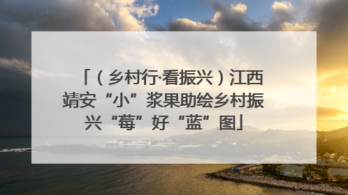 （乡村行·看振兴）江西靖安“小”浆果助绘乡村振兴“莓”好“蓝”图