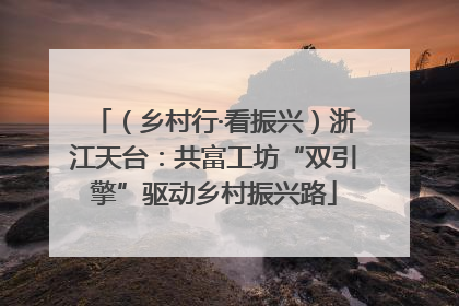 （乡村行·看振兴）浙江天台：共富工坊“双引擎”驱动乡村振兴路