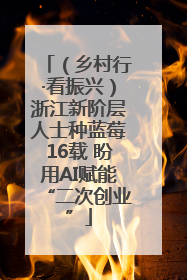 （乡村行·看振兴）浙江新阶层人士种蓝莓16载 盼用AI赋能“二次创业”