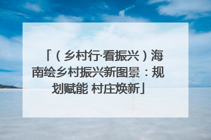 （乡村行·看振兴）海南绘乡村振兴新图景：规划赋能 村庄焕新