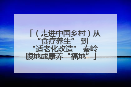 （走进中国乡村）从 “食疗养生” 到 “适老化改造” 秦岭腹地成康养“福地”