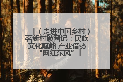 （走进中国乡村）茗新村破圈记：民族文化赋能 产业借势 “网红东风”