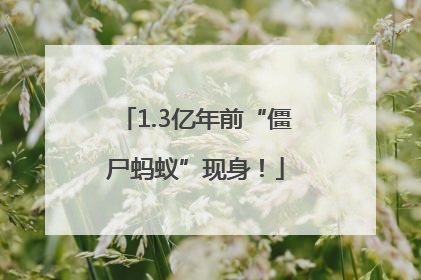 1.3亿年前“僵尸蚂蚁”现身！