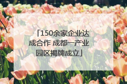 150余家企业达成合作 成都一产业园区揭牌成立