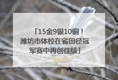 15金9银10铜！潍坊市体校在省田径冠军赛中再创佳绩