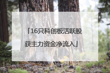 16只科创板活跃股获主力资金净流入