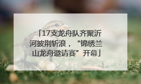 17支龙舟队齐聚沂河披荆斩浪，“锦绣兰山龙舟邀请赛”开幕