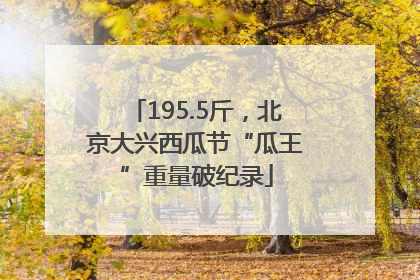 195.5斤，北京大兴西瓜节“瓜王”重量破纪录
