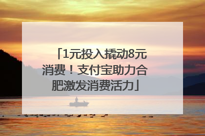 1元投入撬动8元消费！支付宝助力合肥激发消费活力
