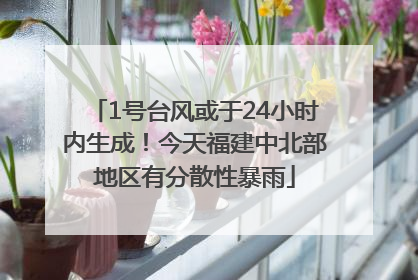 1号台风或于24小时内生成！今天福建中北部地区有分散性暴雨