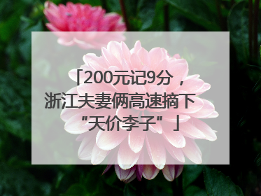 200元记9分，浙江夫妻俩高速摘下“天价李子”