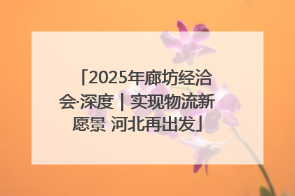 2025年廊坊经洽会·深度|实现物流新愿景 河北再出发