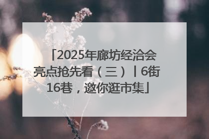 2025年廊坊经洽会亮点抢先看（三）丨6街16巷，邀你逛市集