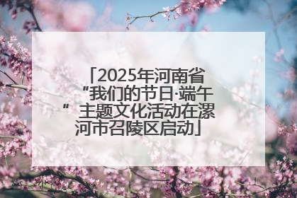 2025年河南省“我们的节日·端午”主题文化活动在漯河市召陵区启动