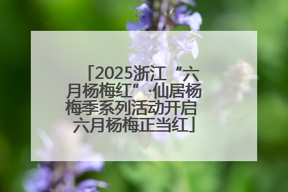 2025浙江“六月杨梅红”·仙居杨梅季系列活动开启 六月杨梅正当红