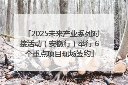2025未来产业系列对接活动（安徽行）举行 6个重点项目现场签约