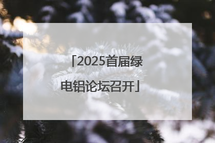 2025首届绿电铝论坛召开