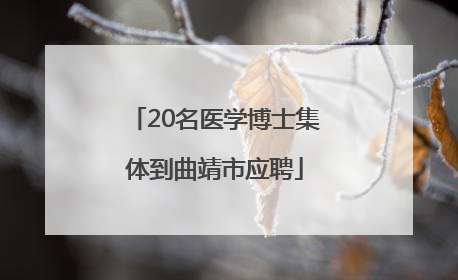 20名医学博士集体到曲靖市应聘