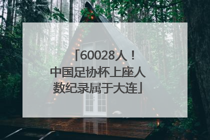 60028人！中国足协杯上座人数纪录属于大连