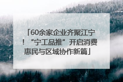 60余家企业齐聚江宁！“宁工品推”开启消费惠民与区域协作新篇