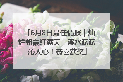 6月8日最佳情报｜灿烂朝霞红满天，溪水潺潺沁人心！恭喜获奖