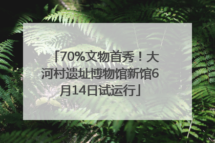 70%文物首秀！大河村遗址博物馆新馆6月14日试运行