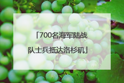 700名海军陆战队士兵抵达洛杉矶