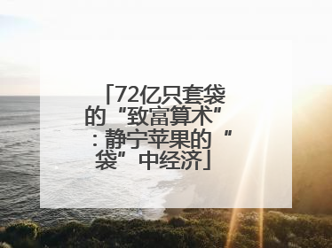 72亿只套袋的“致富算术”：静宁苹果的“袋”中经济