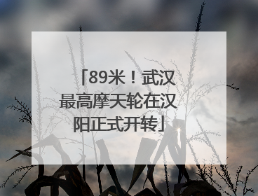 89米！武汉最高摩天轮在汉阳正式开转