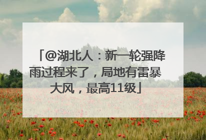 @湖北人：新一轮强降雨过程来了，局地有雷暴大风，最高11级