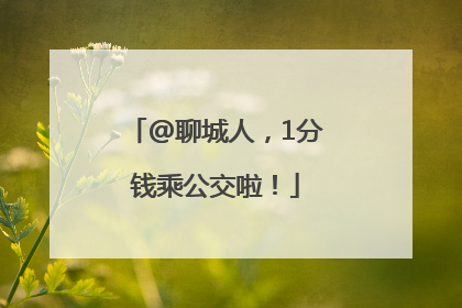 @聊城人，1分钱乘公交啦！