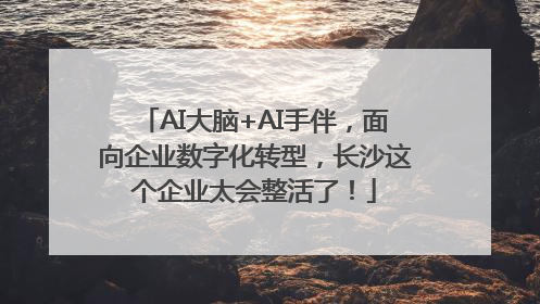 AI大脑+AI手伴，面向企业数字化转型，长沙这个企业太会整活了！