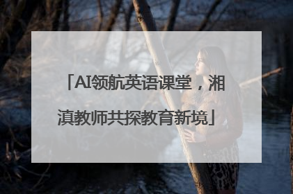 AI领航英语课堂，湘滇教师共探教育新境