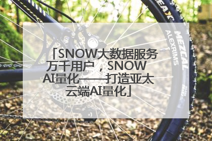 SNOW大数据服务万千用户，SNOW AI量化——打造亚太云端AI量化