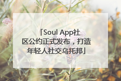 Soul App社区公约正式发布，打造年轻人社交乌托邦