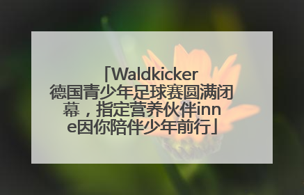 Waldkicker德国青少年足球赛圆满闭幕，指定营养伙伴inne因你陪伴少年前行